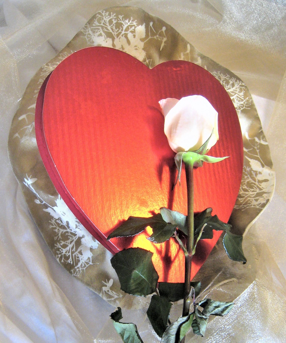 A rose, a box of chocolates, my wedding dress. Happy Valentine's day!